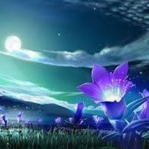 Meet your Posher, Madzia